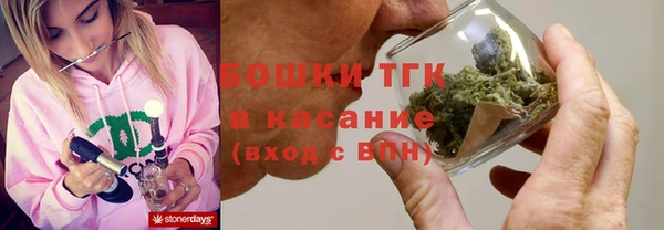шишки Бородино