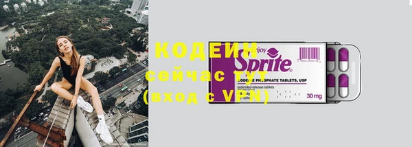 шишки Бородино