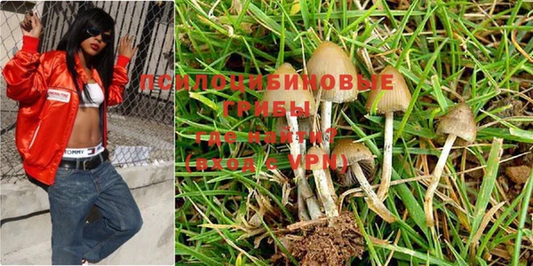 шишки Бородино