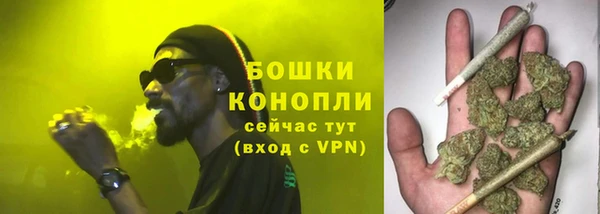 шишки Бородино