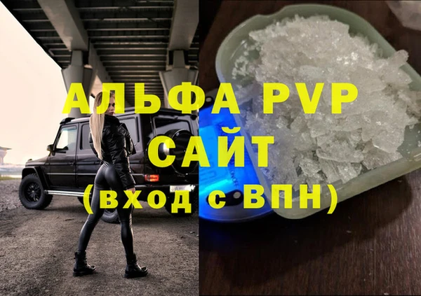шишки Бородино