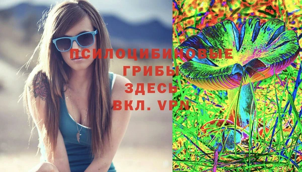 шишки Бородино