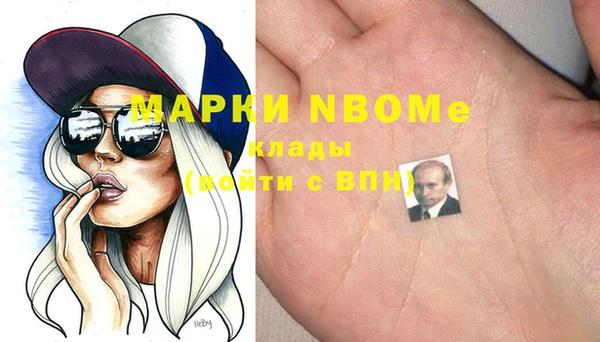 шишки Бородино