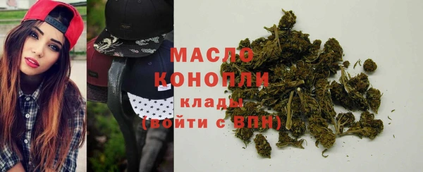 шишки Бородино