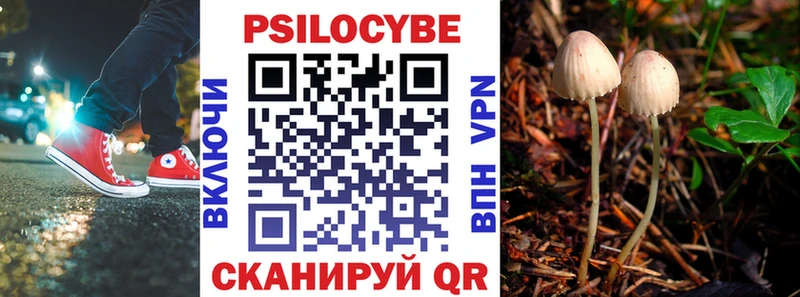 что такое наркотик  Медногорск  Галлюциногенные грибы Magic Shrooms 